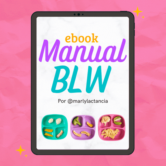 Ebook Manual de Blw